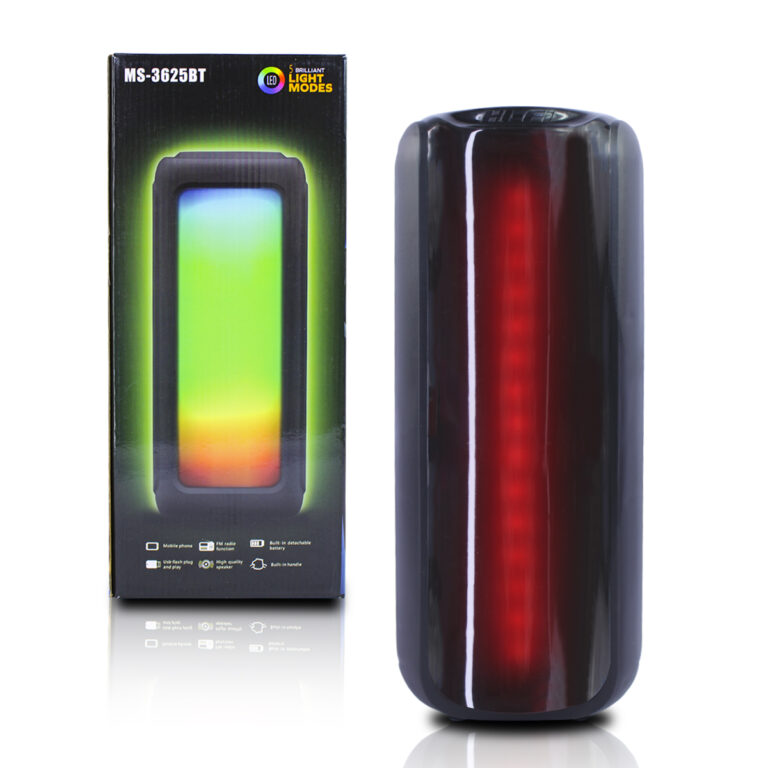 HAUT PARLEUR BLUETOOTH MS-3625BT 