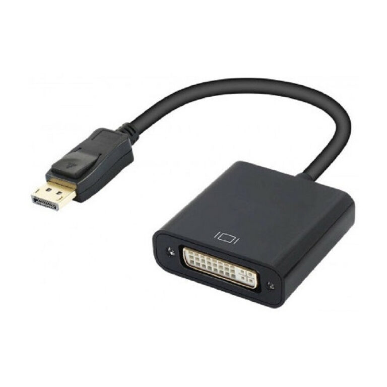 Adaptateur DisplayPort Mâle vers DVI Femelle 1 Adaptateur DisplayPort Mâle vers DVI Femelle