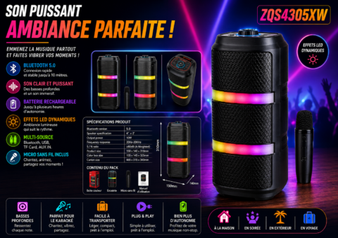 HAUT-PARLAUR BLUETOOTH Sing-e ZQS4305XW 1 HAUT-PARLAUR BLUETOOTH Sing-e ZQS4305XW