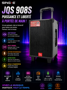 haut-parleur SING-E JQS 908S