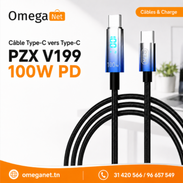 Câble Type-C vers Type-C PZX V199 100W PD