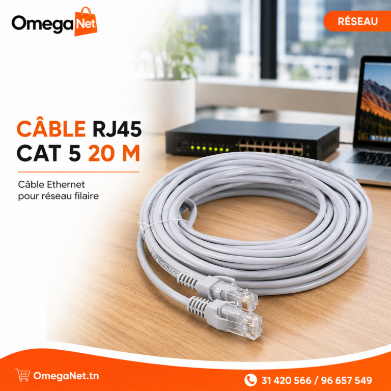 Câble RJ45 Cat 5 20 m