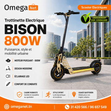 trottinette électrique Ecoxtrem BISON 800W