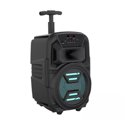 HAUT PARLEUR BLUETOOTH LED 6.5 POUCES (ZQS-6111)