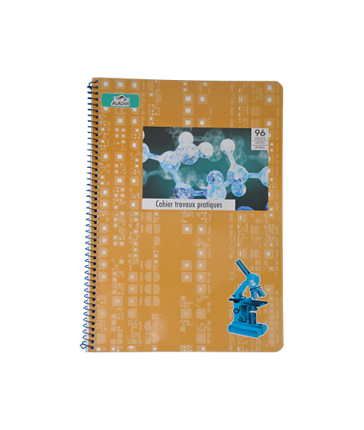 CAHIER TP INTEGRAL GM 10/10 96P ALADIN