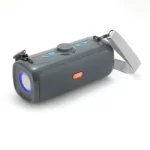 Haut-parleur Bluetooth Portable T&G Tg647 - Gris