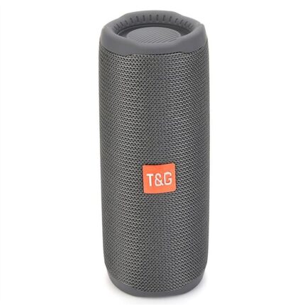 haut parleur Sans Fil Portable T&G TG365 - Gris
