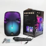 HAUT PARLEUR BLUETOOTH RGB AVEC TÉLÉCOMMANDE 8'' - PK-29