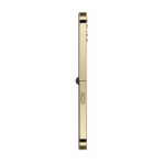TELEPHONE PORTABLE CLEVER F10 GOLD