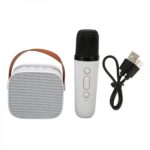 Haut Parleur Bluetooth Karaoke avec Microphone Sans Fil - CESAR K1
