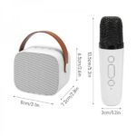 Haut Parleur Bluetooth Karaoke avec Microphone Sans Fil - CESAR K1