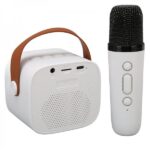 Haut Parleur Bluetooth Karaoke avec Microphone Sans Fil - CESAR K1