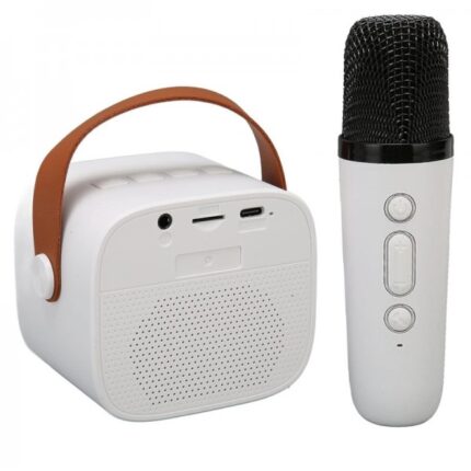 Haut Parleur Bluetooth Karaoke avec Microphone Sans Fil - CESAR K1
