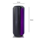 HAUT PARLEUR BLUETOOTH MS-3625BT