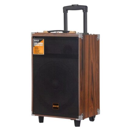 Haut Parleur Sans Fil BAAB BQ12 Avec Microphone - Bois