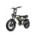 Bicyclette Electrique Ecoride ER2 DUAL 2000W Noir 1 Bicyclette Electrique Ecoride ER2 DUAL 2000W Noir