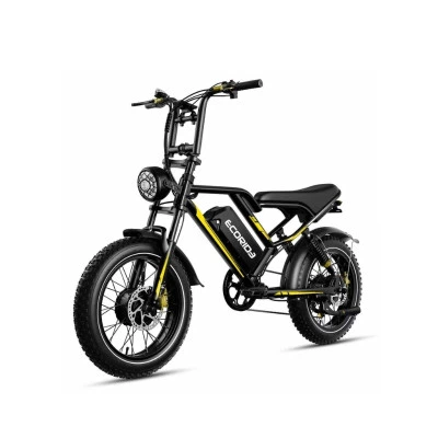 Bicyclette Electrique Ecoride ER2 DUAL 2000W Noir