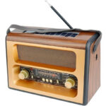 Haut Parleur Portable Radio FM Meier RX-BT89SQ - Marron