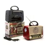 Radio FM Bluetooth RAISENG R-3166BT