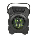 SPEAKER Sans Fil ZQS 1316
