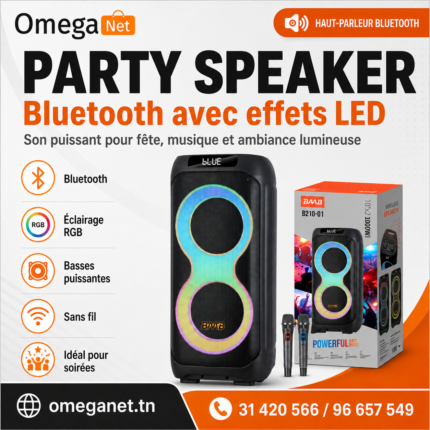 Haut-parleur Bluetooth Party 2025 B210-01