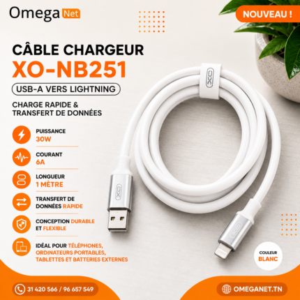 XO cable NB251 USB - Lightning 1,0 m 6A