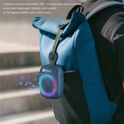 Haut-parleur Bluetooth NewRixing NR-195 8W