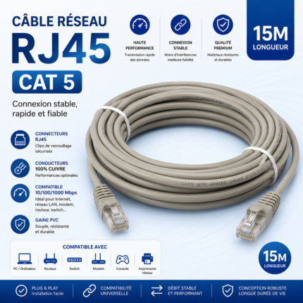 Câble Réseau RJ45 CAT5 15M