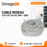 Câble Réseau Cat 6 RJ45 30M – Gris 1 Câble Réseau Cat 6 RJ45 30M