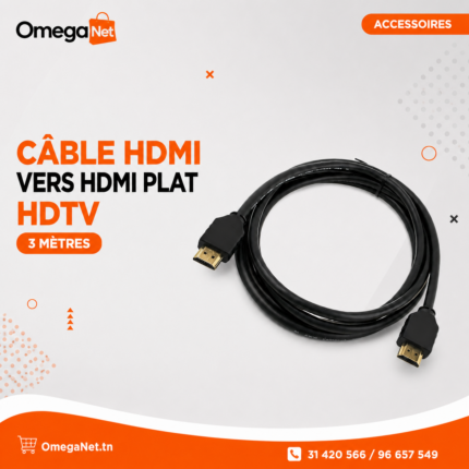 Câble HDMI vers HDMI