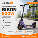 trottinette électrique Ecoxtrem BISON 800W