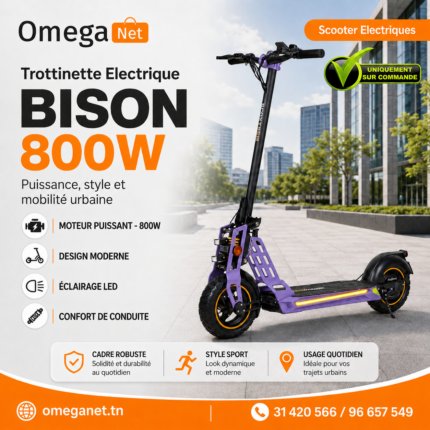 trottinette électrique Ecoxtrem BISON 800W