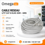 Câble Réseau Cat 6 RJ45 30M – Gris 2 Câble Réseau